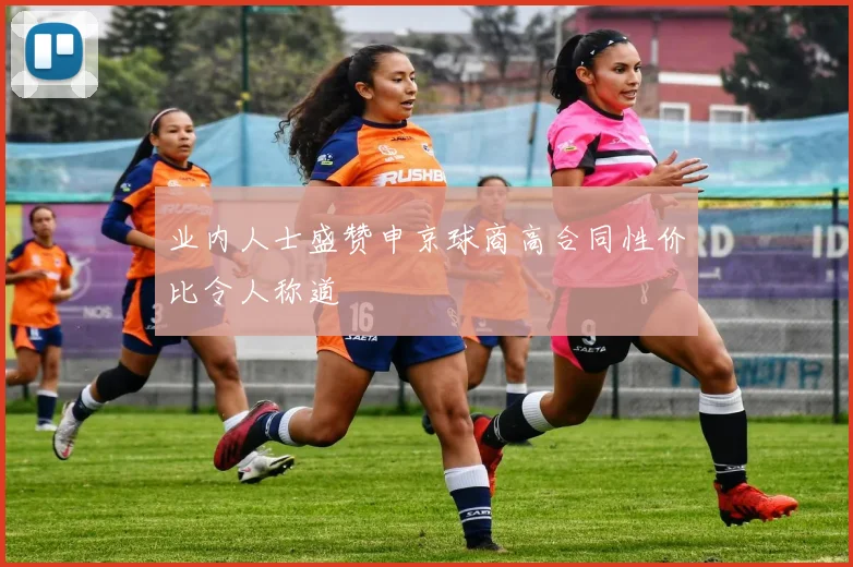业内人士盛赞申京球商高合同性价比令人称道
